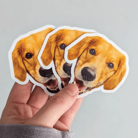 2" Die Cut Face Sticker