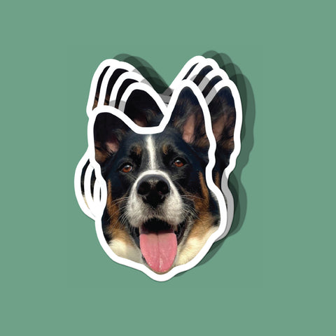 Custom Face Stickers