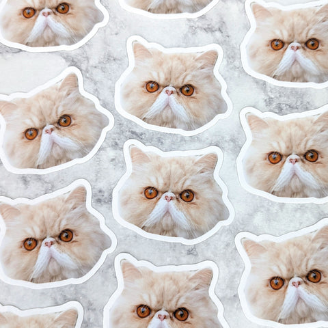 Custom Face Stickers