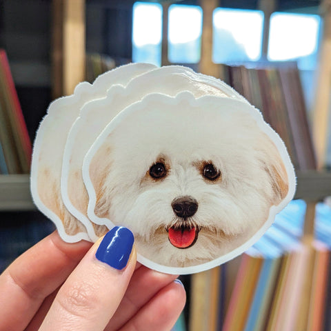Custom Face Stickers
